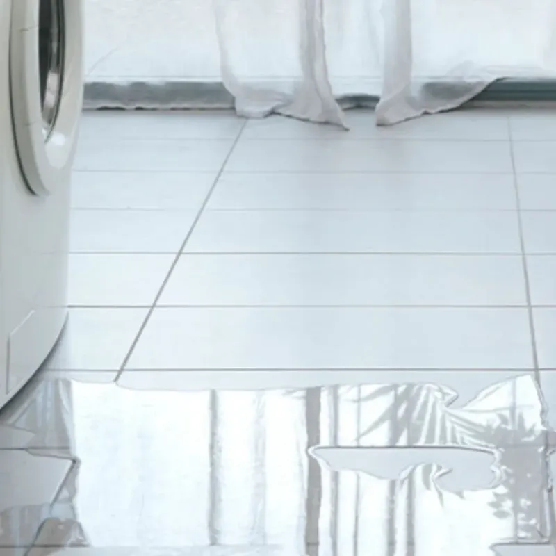 Appliance Leak Cleanup in Goshen, CA