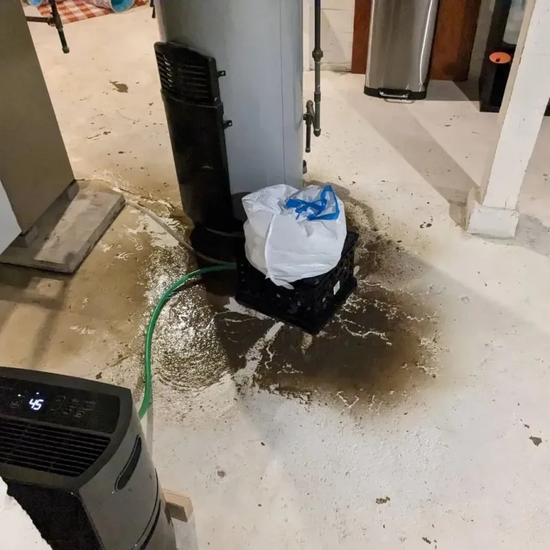Sewage Backup Cleanup Service in Goshen, CA